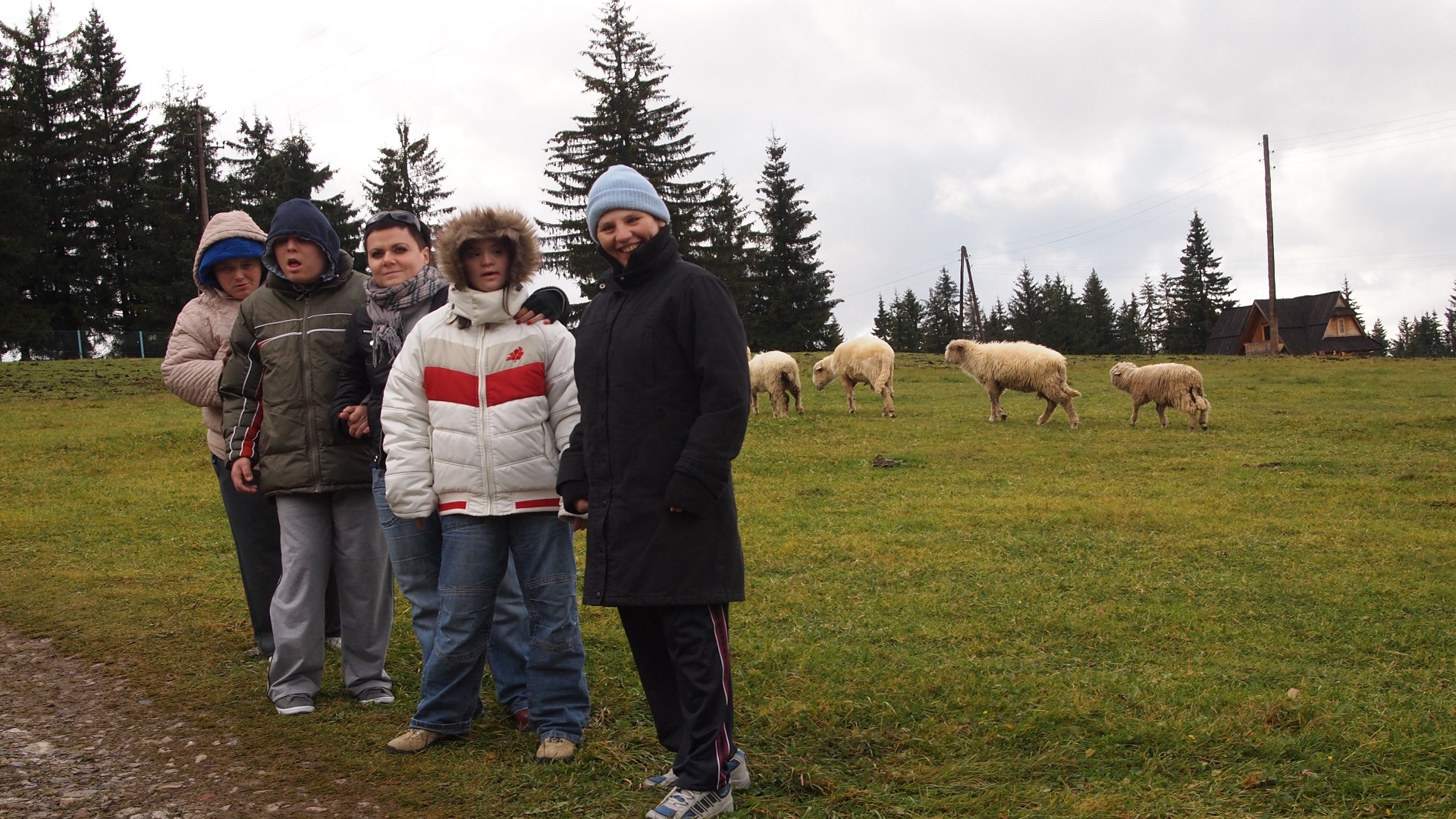 OLYMPUS DIGITAL CAMERA