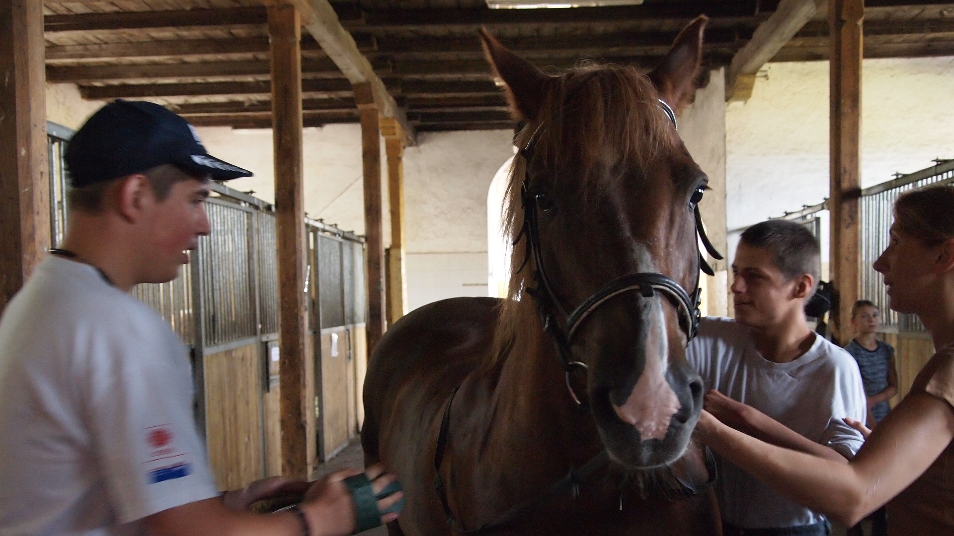 OLYMPUS DIGITAL CAMERA